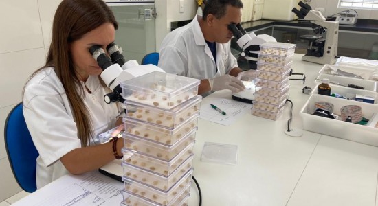 Notícia de MT Laboratório do Indea auxilia no combate a doenças na agropecuária Política MT