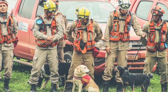 Política MT segurança MT Corpo de Bombeiros realiza simulado de resgate com cães