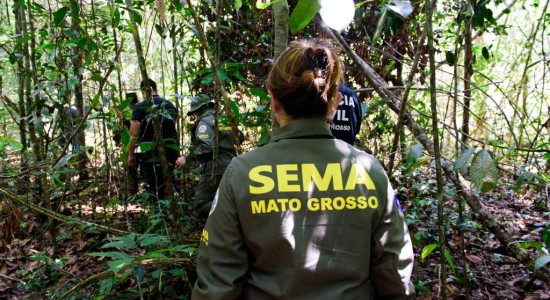 Governo de MT já aplicou R$ 303 milhões em multas por crimes ambientais em 2024