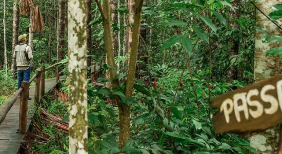 Dois empreendimentos de MT conquistam vaga em seleção nacional de 101 experiência turísticas