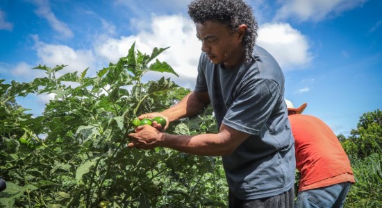 Governo fortalece pequenos agricultores e incentiva produção no campo
