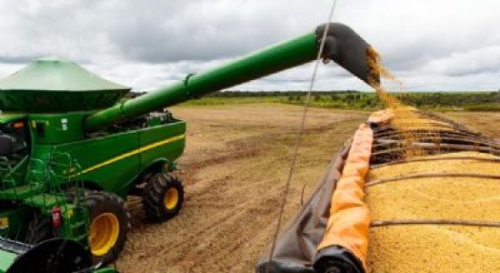 Impulsionado pelo agro, Mato Grosso deve ter maior crescimento do PIB em 2025