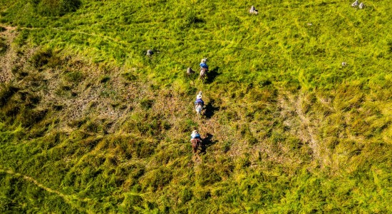 Produtores devem estar atentos ao início do período proibitivo do uso do fogo no Pantanal