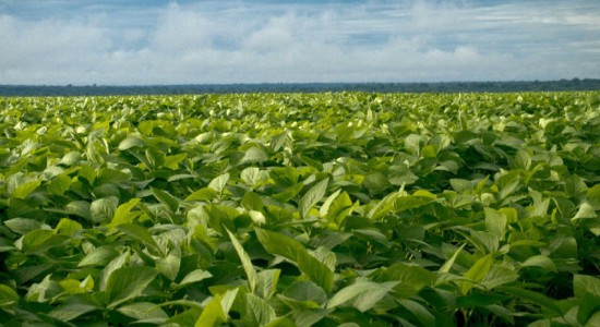 Governador de MT vai mostrar potencial do agro ao público europeu