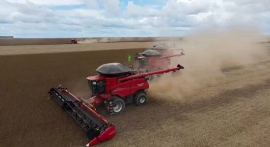 Mato Grosso consolida protagonismo na produção mundial de grãos e fibras