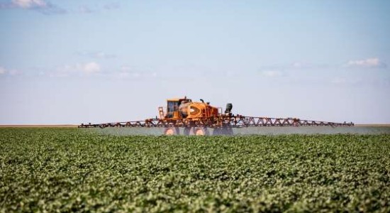 Mato Grosso puxa alta na estimativa de produção agrícola e consolida liderança nacional