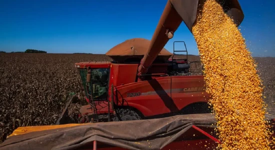 Produção de grãos deve passar de 107 mi t e bater novo recorde em MT