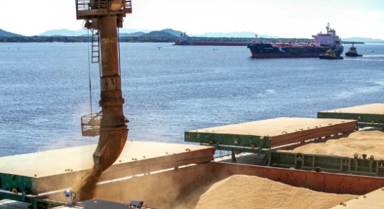 Mato Grosso ignora queda nacional e bate recorde de exportação de soja para a China