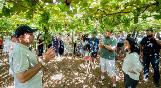 Propriedades rurais em MT investem em turismo e atraem visitantes