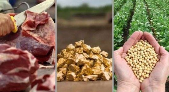 Taxação de 50% dos EUA impacta ouro, carne e soja, ameaçando economia de Mato Grosso