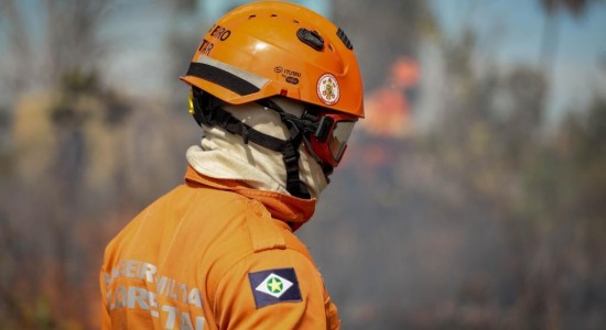 vCorpo de Bombeiros extingue quatro incêndios florestais e combate 12