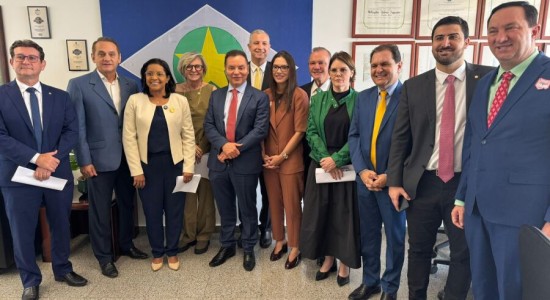 Deputados estaduais e bancada federal discutem contrato de concessão de energia elétrica