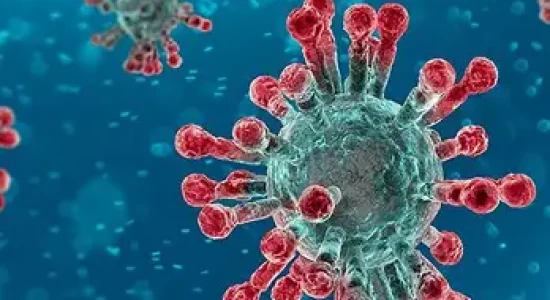 MT identifica nova variante da Covid-19 em Cuiabá, VG e mais dois municípios; vírus já circula no país