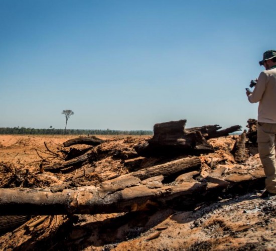 Mato Grosso aplicou R$ 1,2 bilhão em multa por crimes ambientais em 2022