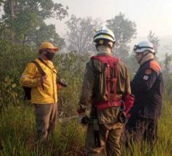 Sorp reforça fiscalização em terrenos baldios e queimadas apresentam redução de 53%