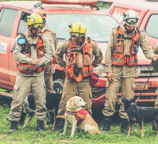 Política MT segurança MT Corpo de Bombeiros realiza simulado de resgate com cães