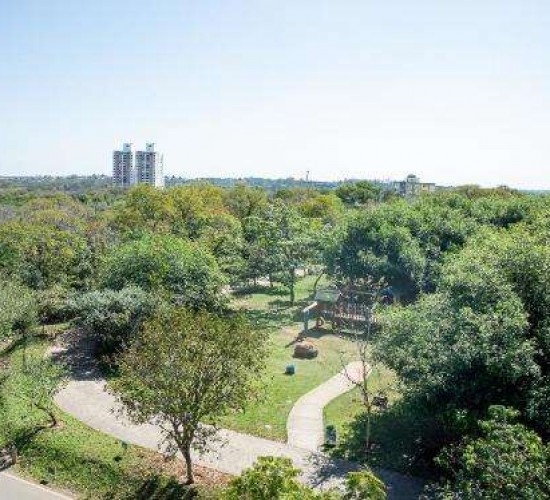 Parque Mãe Bonifácia possui novo Mirante e trilhas para caminhada; veja regras para utilização