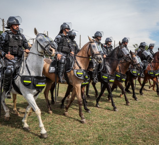 Cavalaria da Polícia Militar lança Operação Centauro em Cuiabá