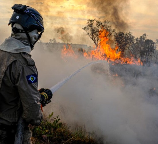 Governo de MT e AMM assinam protocolo inédito para intensificar ações de combate aos incêndios florestais