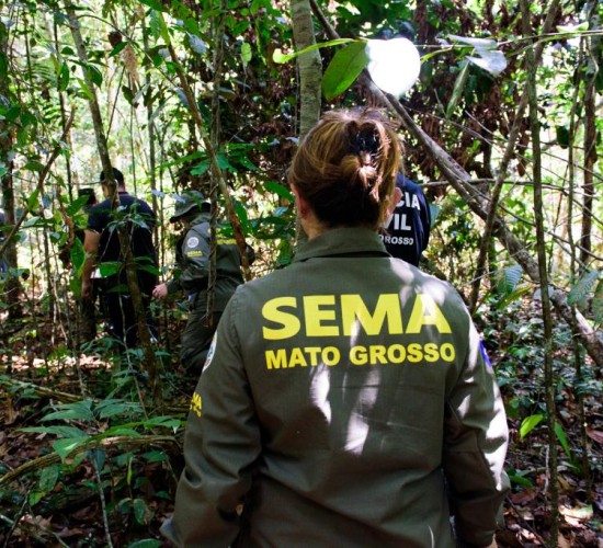 Governo de MT já aplicou R$ 303 milhões em multas por crimes ambientais em 2024