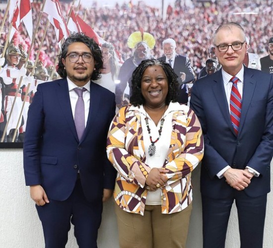 Brasil reafirma compromisso com a liberdade de expressão e intensifica combate à desinformação