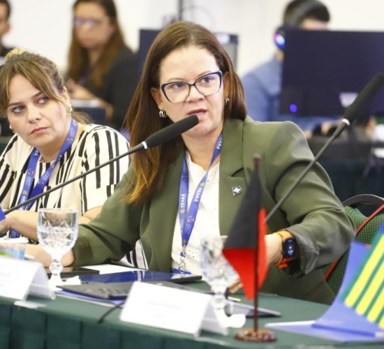 Revisão da Lei de Publicidade Mato Grosso Lidera Grupo de Trabalho Nacional