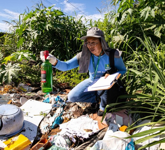 Chuvas continuam mantém alerta contra a dengue; veja os cuidados