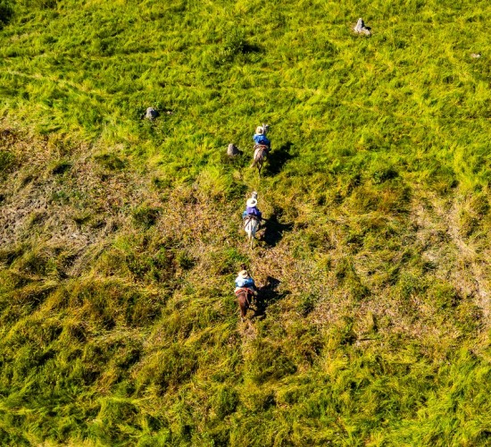 Produtores devem estar atentos ao início do período proibitivo do uso do fogo no Pantanal