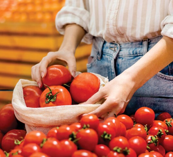 Cesta Básica chega a R$ 850 e quebra mais um recorde de preços na Capital