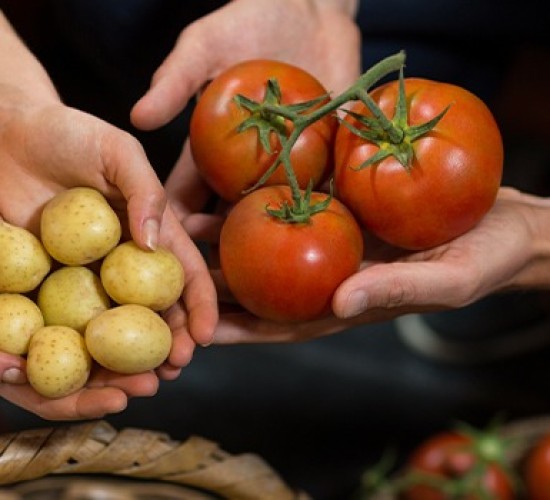 Preço da cesta básica tem nova queda na última semana de junho