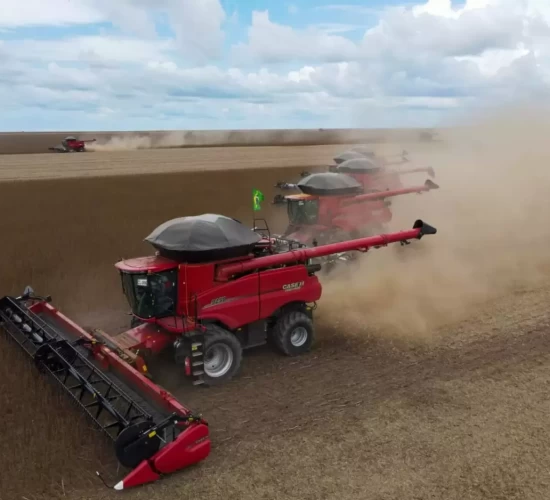 Mato Grosso consolida protagonismo na produção mundial de grãos e fibras