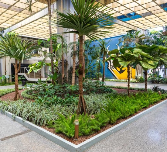 Evento em Cuiabá vai discutir desafios e soluções para agenda climática no setor agrícola