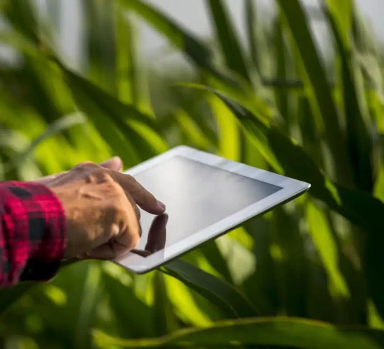 Demanda por crédito no agro ultrapassa R$ 1 trilhão e atrai nova geração de investidores