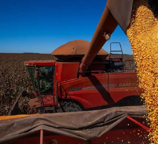 Produção de grãos deve passar de 107 mi t e bater novo recorde em MT