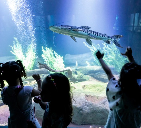 Aquário Municipal é sucesso de visitação no período de férias escolares