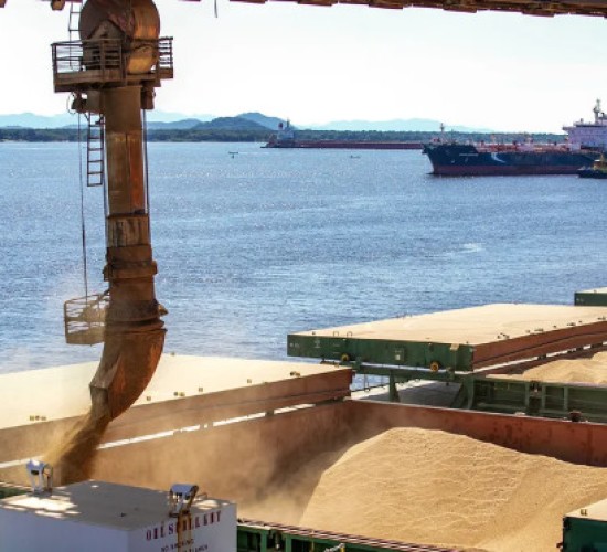 Mato Grosso ignora queda nacional e bate recorde de exportação de soja para a China