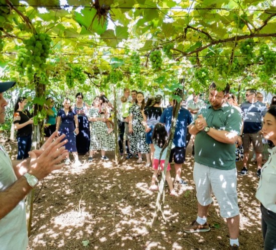 Propriedades rurais em MT investem em turismo e atraem visitantes