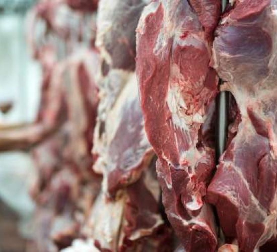 81 países importam carne bovina de Mato Grosso; China lidera compradores