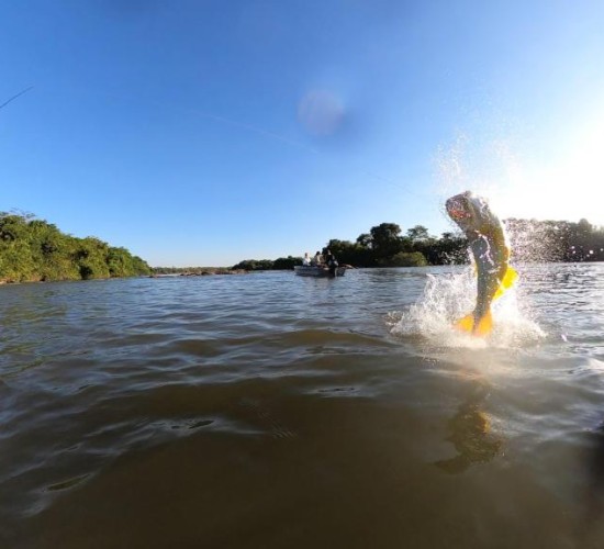 Confira as dez cidades de MT com os melhores destinos para pesca esportiva