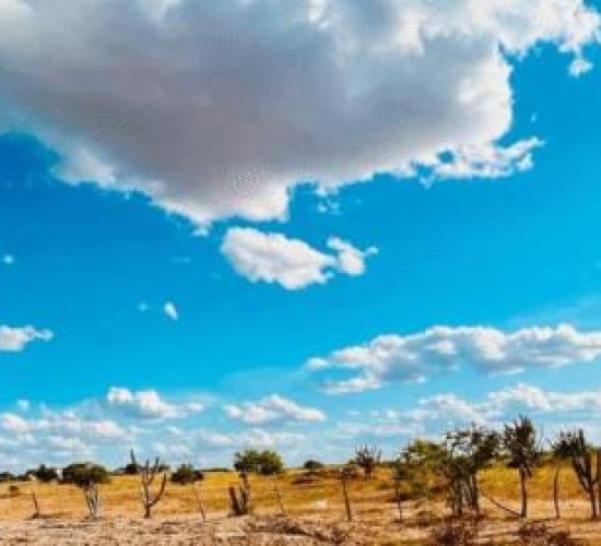 Mato Grosso com umidade do Saara! Alerta máximo de “grande perigo” é emitido pelo Inmet
