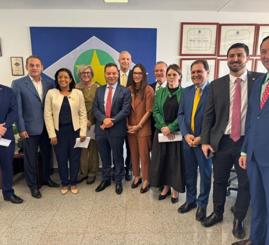 Deputados estaduais e bancada federal discutem contrato de concessão de energia elétrica