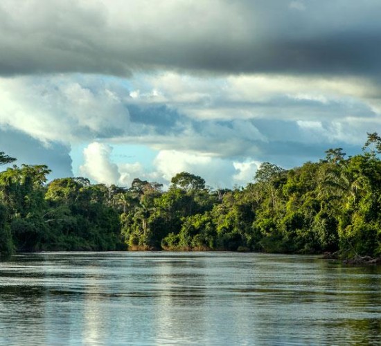 Governo de MT faz parceria com O.N.E. Amazon para investimento em projetos sustentáveis no Estado