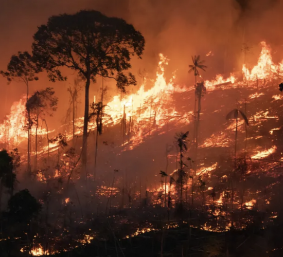 Amazônia tem pior agosto de queimadas dos últimos 12 anos