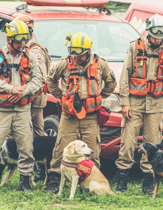Política MT segurança MT Corpo de Bombeiros realiza simulado de resgate com cães