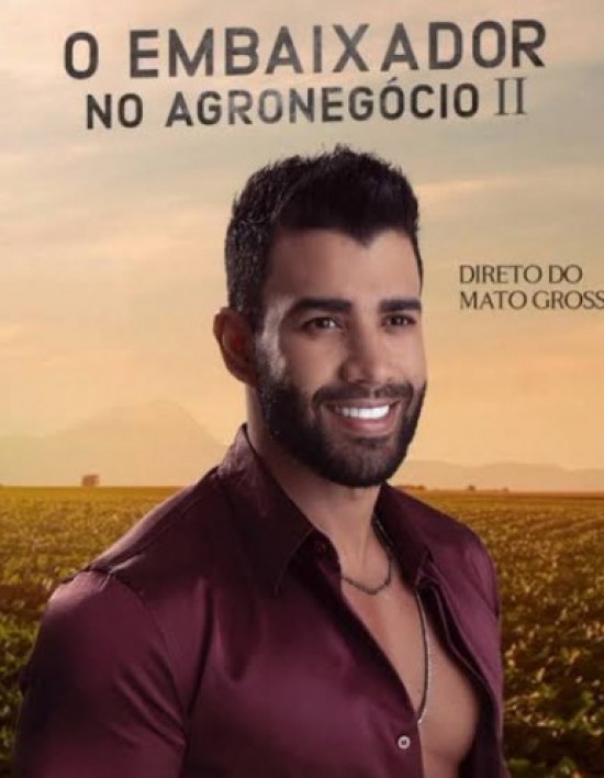 MPE investiga show de Gusttavo Lima e aciona Prefeitura de Primavera por evento