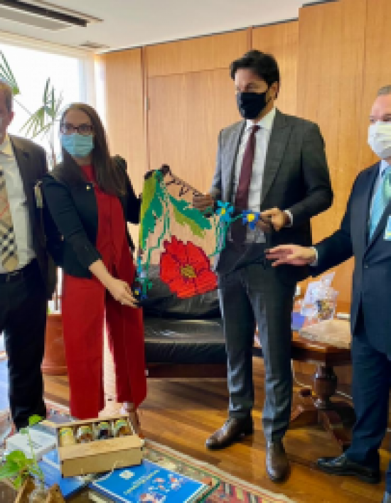 Em audiência com ministro, deputada Janaina Riva pede que MT seja prioridade na implantação de 5G