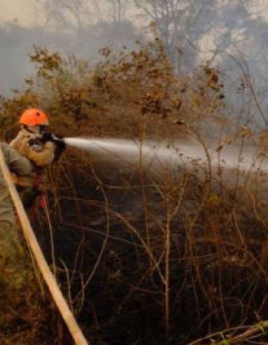 MT tem 30 dias para apresentar ao STF o plano de prevenção de queimadas no Pantanal