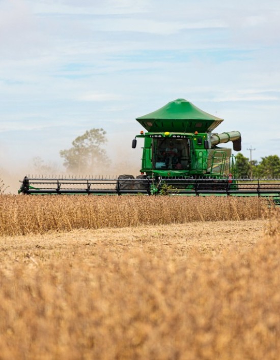 Mato Grosso lidera colheita da safra de soja 2023/24 no Brasil