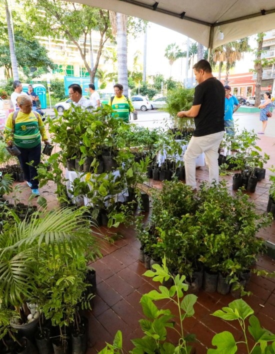 Projeto de doação de mudas frutíferas é um sucesso e será desenvolvido em outras regiões da cidade ao longo do mês