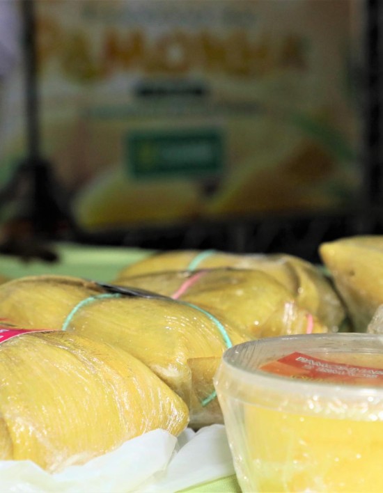 Festival terá shows de rasqueado, sertanejo e mais de 20 opções de pamonhas, com preço a partir de R$ 10; Confira a programação que começa no dia 19